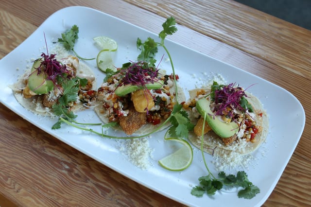 Walleye and Bluegill Tacos.